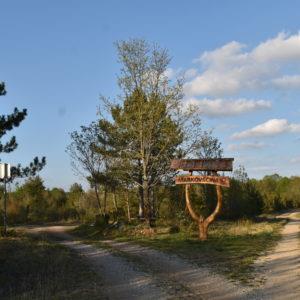Markovska pastirska pot
